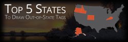 Out-of-State-Hunting-Tags