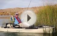 Fishing In Arizona - Lake Havasu City