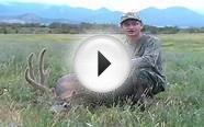 Guided Trophy Mule Deer Hunts in Colorado with West Elk