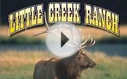 Little Creek Ranch - Colorado Elk Hunts
