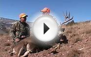Rifle Mule Deer Hunt in Colorado with Jay Scott