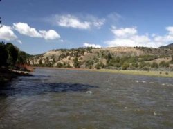 Colorado River - you need a Colorado fishing license from Minturn Anglers to fish it