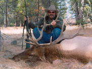 elk hunting in Idaho