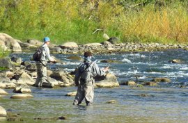 Fly-fishing on the Animas River in Durango