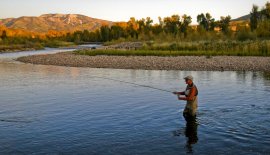 Fly-fishing on the Yampa River near Steamboat Springs, CO