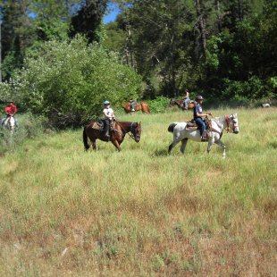 guest ranch horseback trail riding