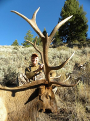 Idaho elk hunting