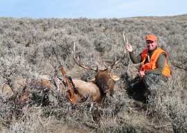 colorado elk diy hunting hunt hunters six