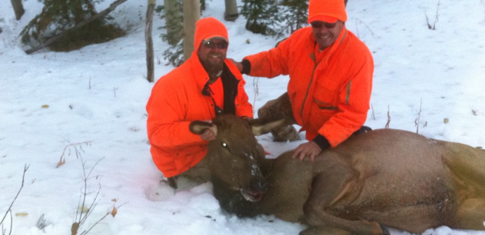 Elk hunts in Colorado