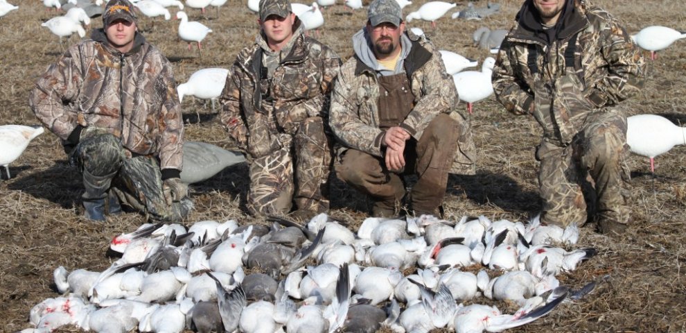 Goose season Colorado