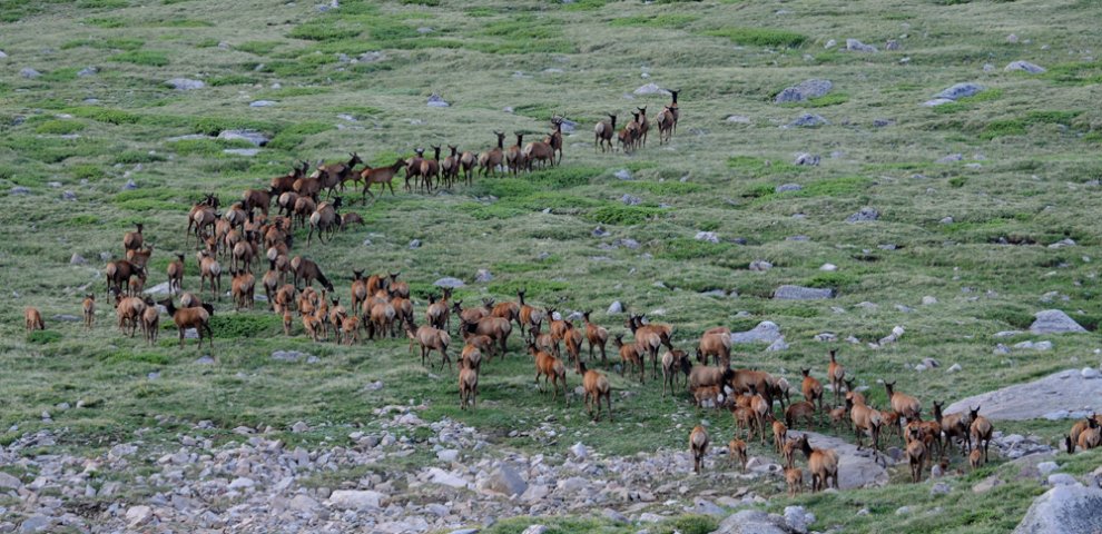 Hunting in Colorado