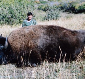 Colorado Buffalo hunting