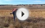 Antler Outfitters Colorado Pheasant & Chukar Hunting