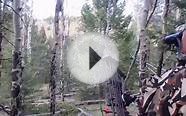 Archery Elk Hunting Colorado