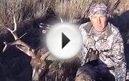 Colorado Archery Mule Deer Spot & Stalk hunt getting close