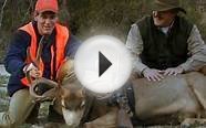 Colorado Big Game Hunting & Ranching for Wildlife: Kessler