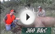 Colorado Rifle Elk Hunt - MossBack