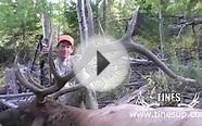 Elk Hunt:Hunting Elk in Southern Utah for a BIG 6x6, Full