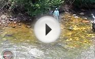 Fly Fishing secret water in Colorado (TV)