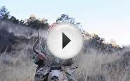 Hunting Rutting Bucks: Colorado Mule Deer Hunt 2014 AWESOME!