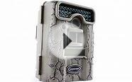 Hunting Season Is Upon Us - Part 1: Moultrie Cameras