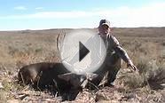 New Mexico Mule Deer Hunting 2010 with Cedar Creek Outfitters