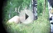 Ryleigh and Wesley Elk Hunting Trip