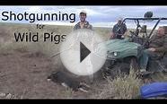 The Best Gun For Hunting Wild Pigs In Australia Part 4
