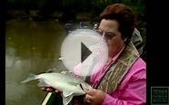 White Bass Fishing, Running of the Bass - Texas Parks and